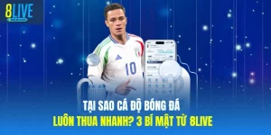 Kinh Nghiệm 8LIVE – Bí Quyết Cá Cược Hiệu Quả Tại 8live.br.com - votx