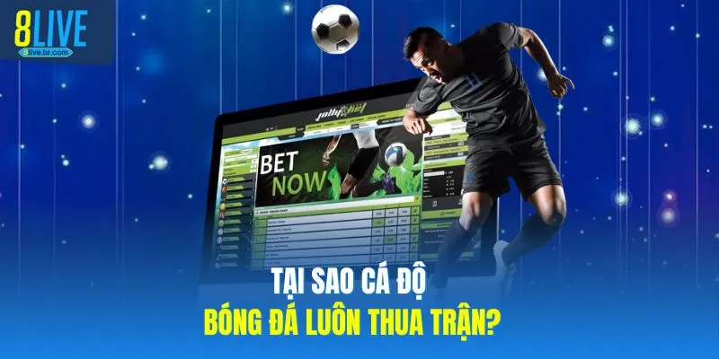 Tại Sao Cá Độ Bóng Đá Luôn Thua Nhanh? 3 Bí Mật Từ 8LIVE - votx Tại Sao Cá Độ Bóng Đá Luôn Thua Nhanh? 3 Bí Mật Từ 8LIVE - votx