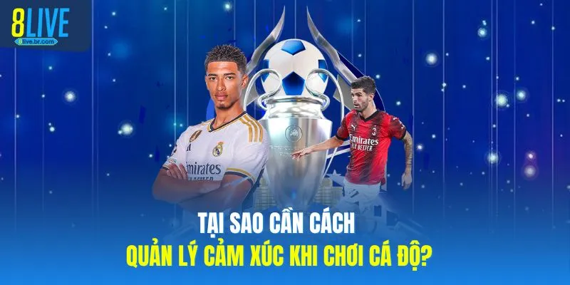 Cách Quản Lý Cảm Xúc Khi Chơi Cá Độ 8LIVE Qua 3 Bước Vàng - votx Cách Quản Lý Cảm Xúc Khi Chơi Cá Độ 8LIVE Qua 3 Bước Vàng - votx